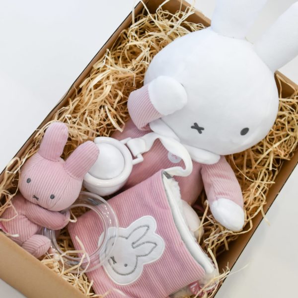 Petit Moi - Nijntjesbox - Een babybox als kraamcadeau